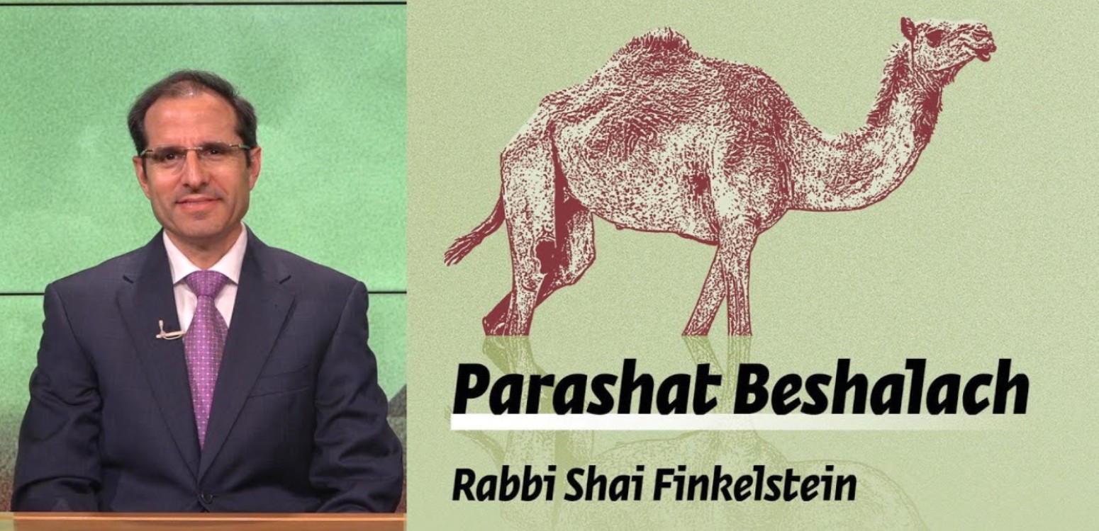 Parashat Beshalach – The Purpose of the Journey 