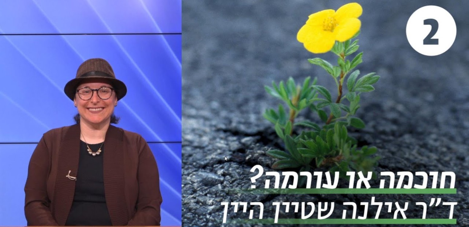 הצדקת פרצות