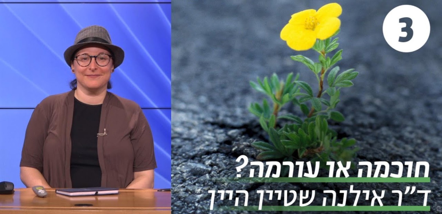 ספרות בבלית