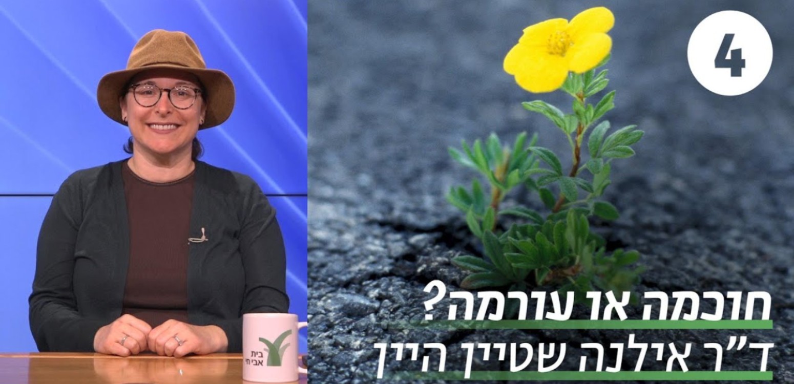 מכירת חמץ