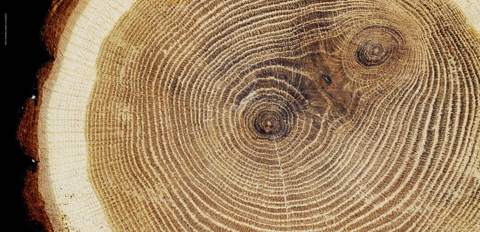 מעגל זיכרון: שרים, מספרים ומתייחדים
