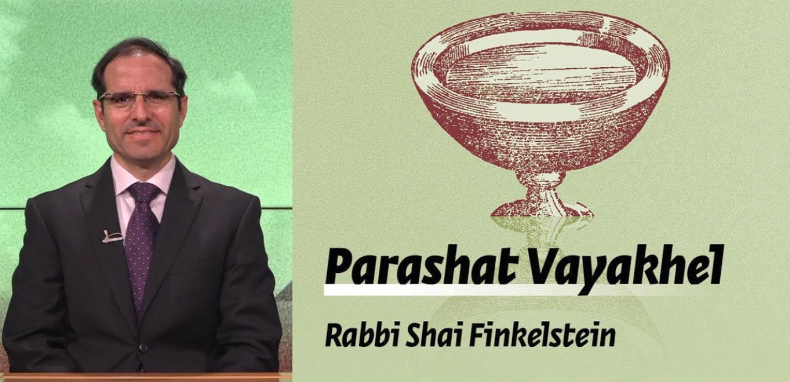 Parashat Vayakhel – Freedom in Holiness