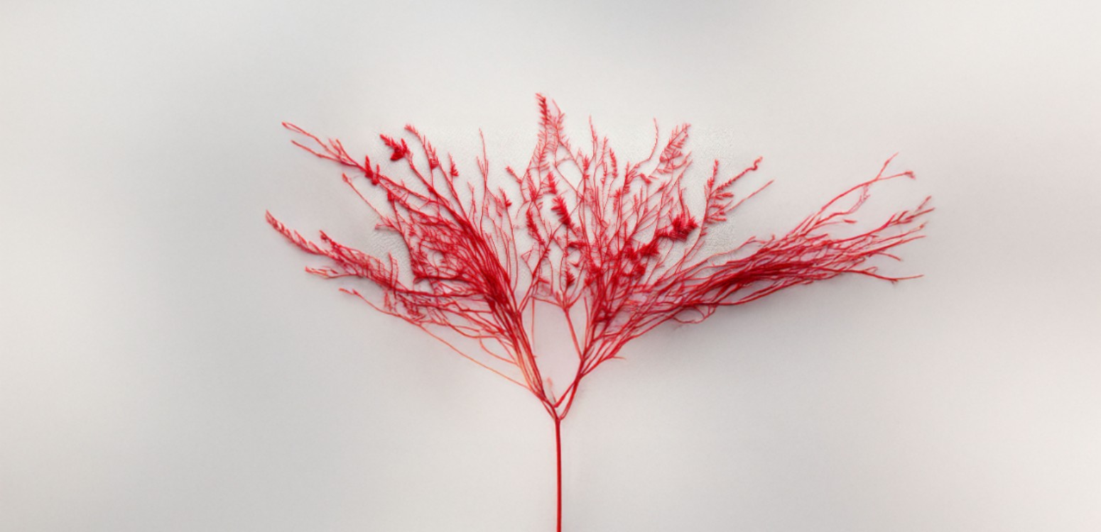 איך חיים באמת | אורי ויזל