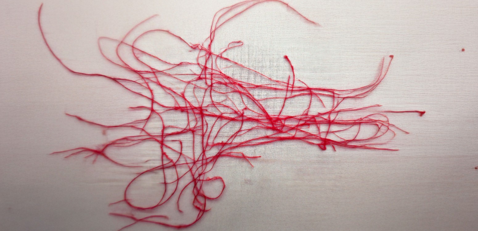 דיסוננס | שלומית פישר