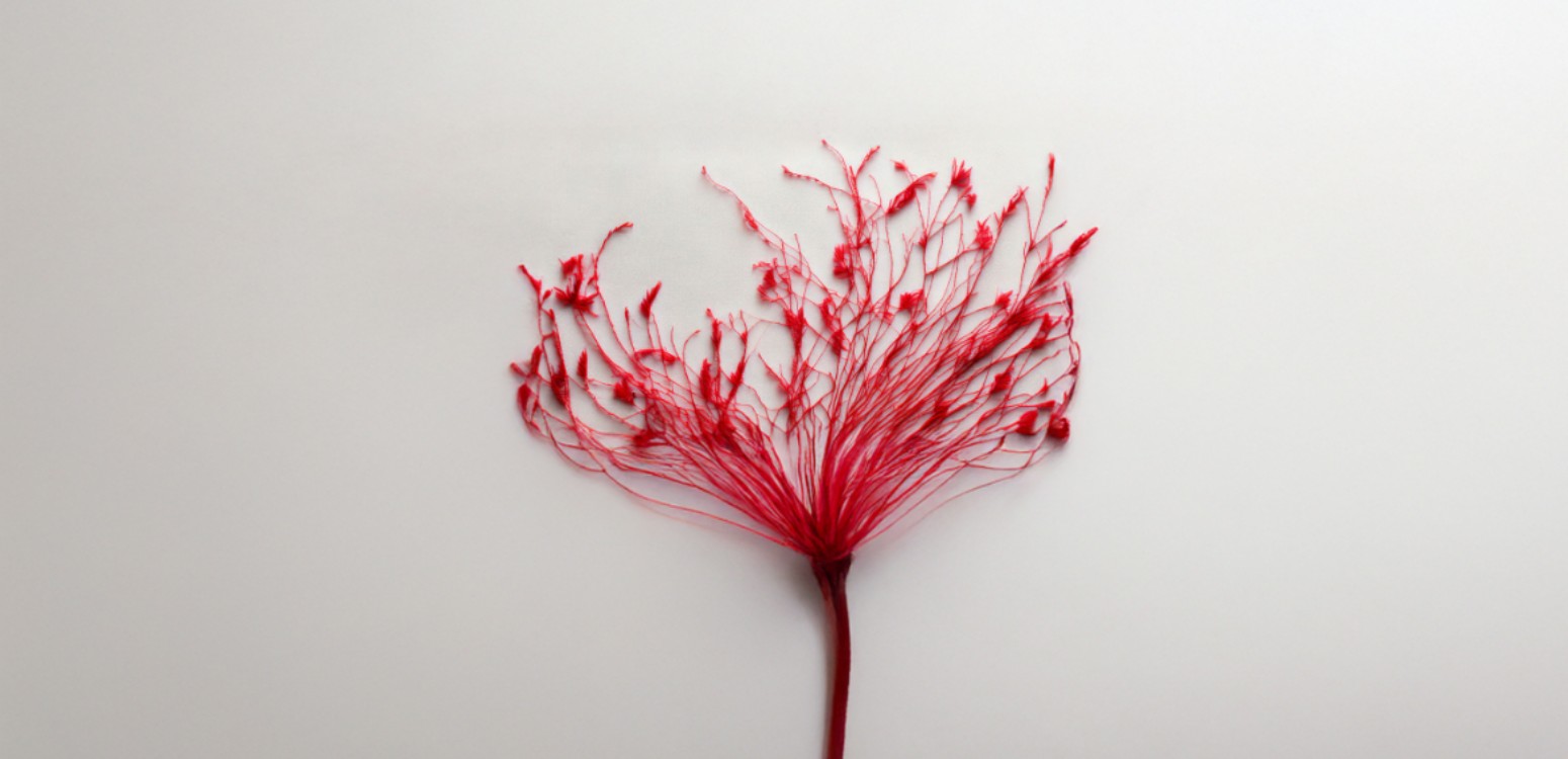 על שפת הזיכרון

