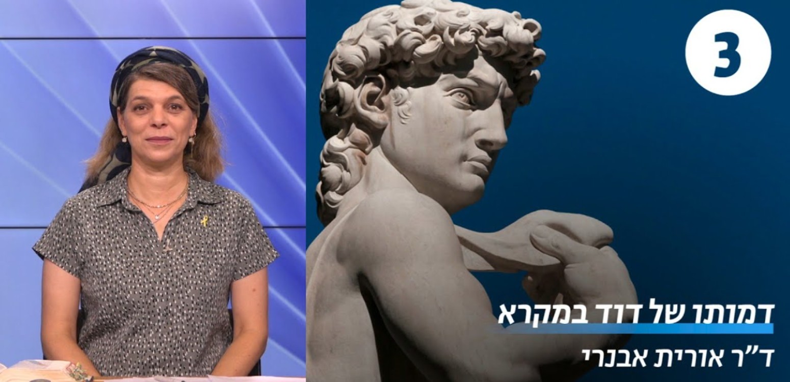 בין דוד לנשותיו