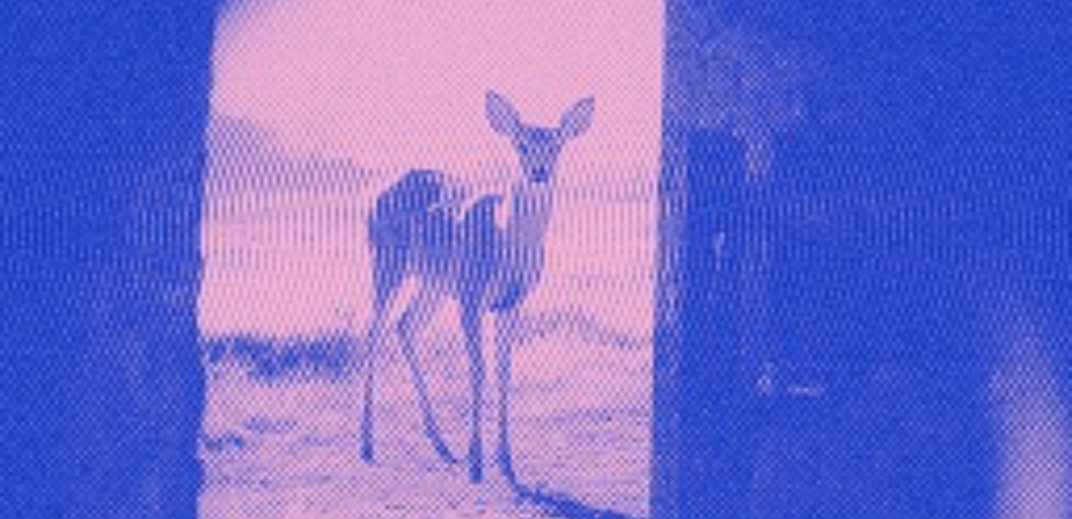 איילה ונחש: סדנת לימוד ויצירה קולנועית בהשראת ספר הזוהר  - דף משוכפל