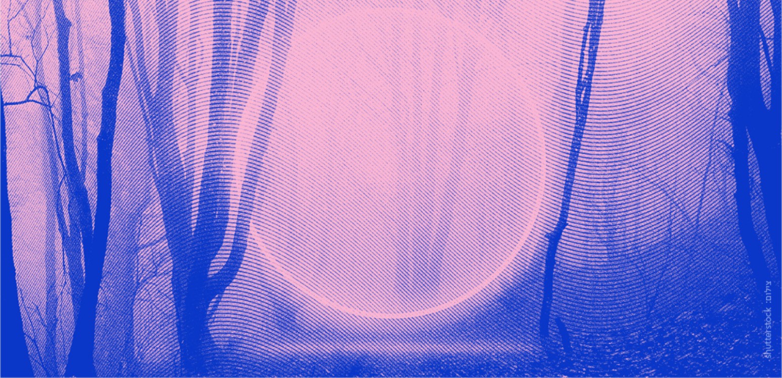 כשהדרך מתמשכת: על קשיי ונִפְלָאוּת המסע בחסידות 
 - דף משוכפל