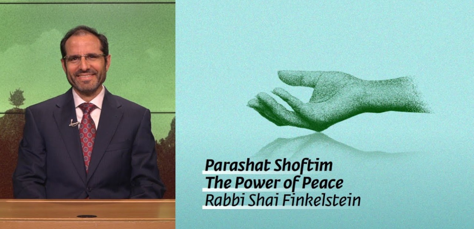 Parashat Shoftim: The Power of Peace