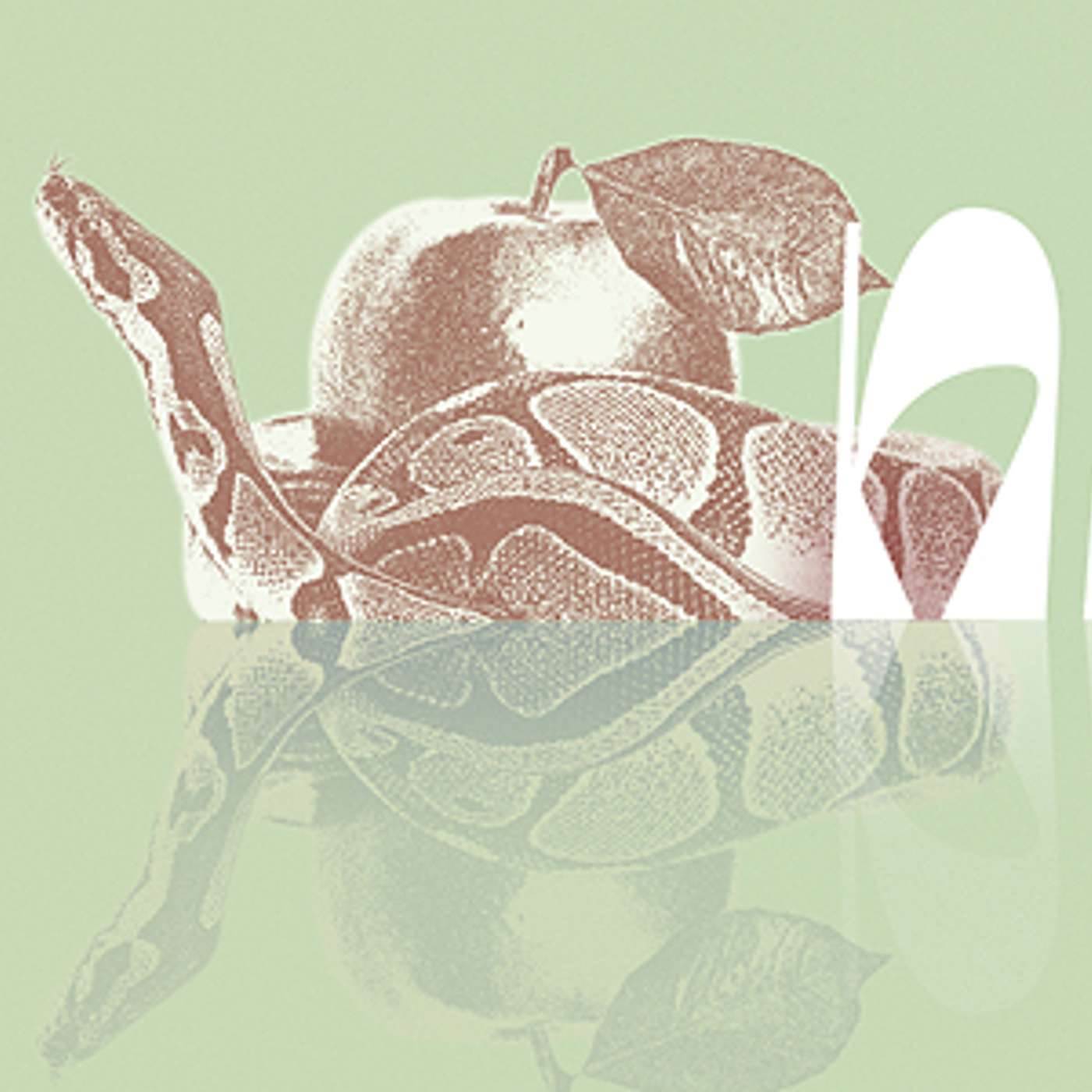 Parashat Noach | Generational Problems |  Rabbi Shai Finkelstein