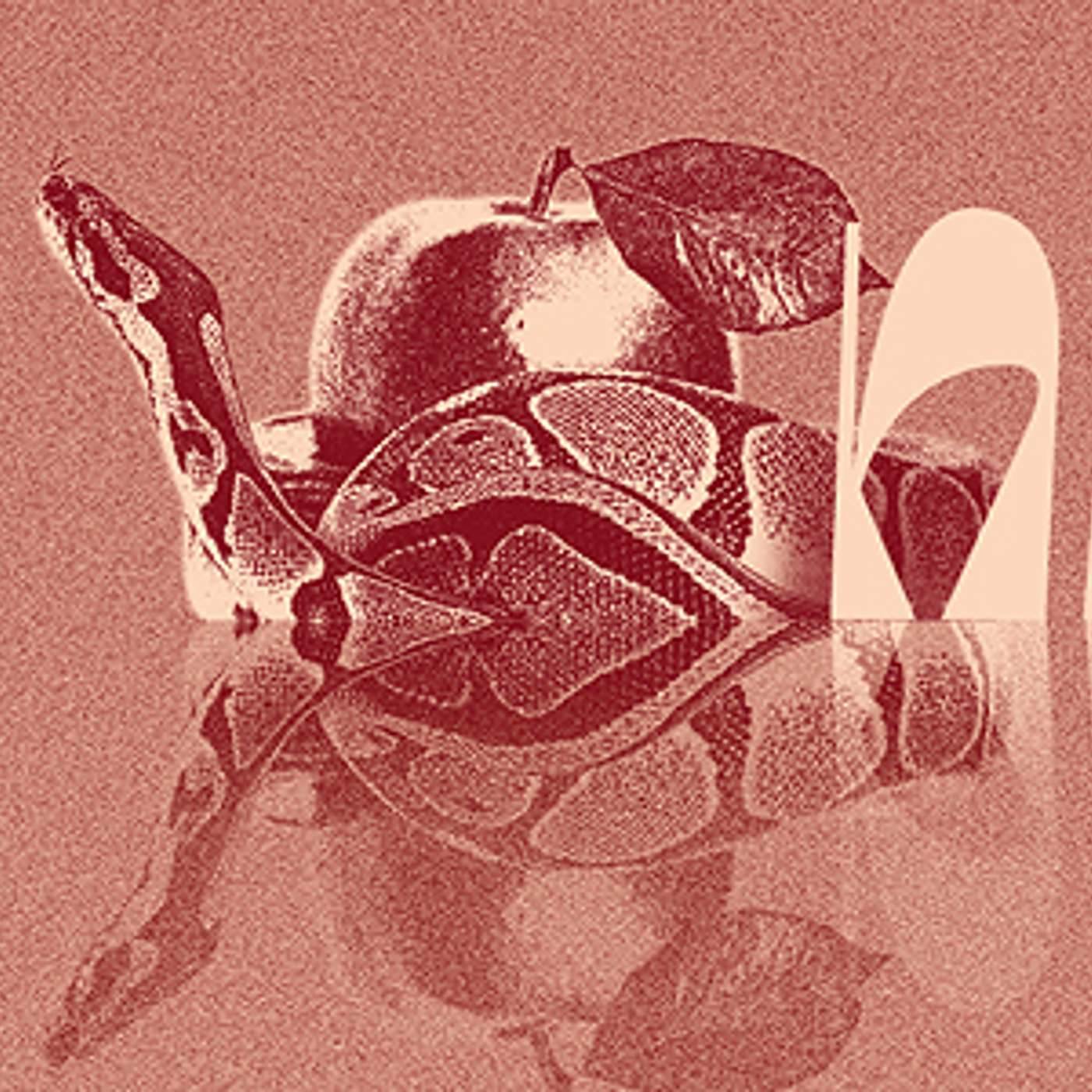 Parashat Noach | Beginnings | Rabbi Shai Finkelstein