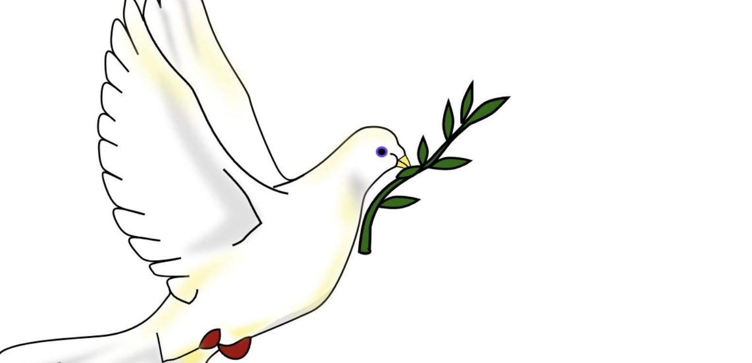 Parashat Noah: A Dove with an Olive Leaf