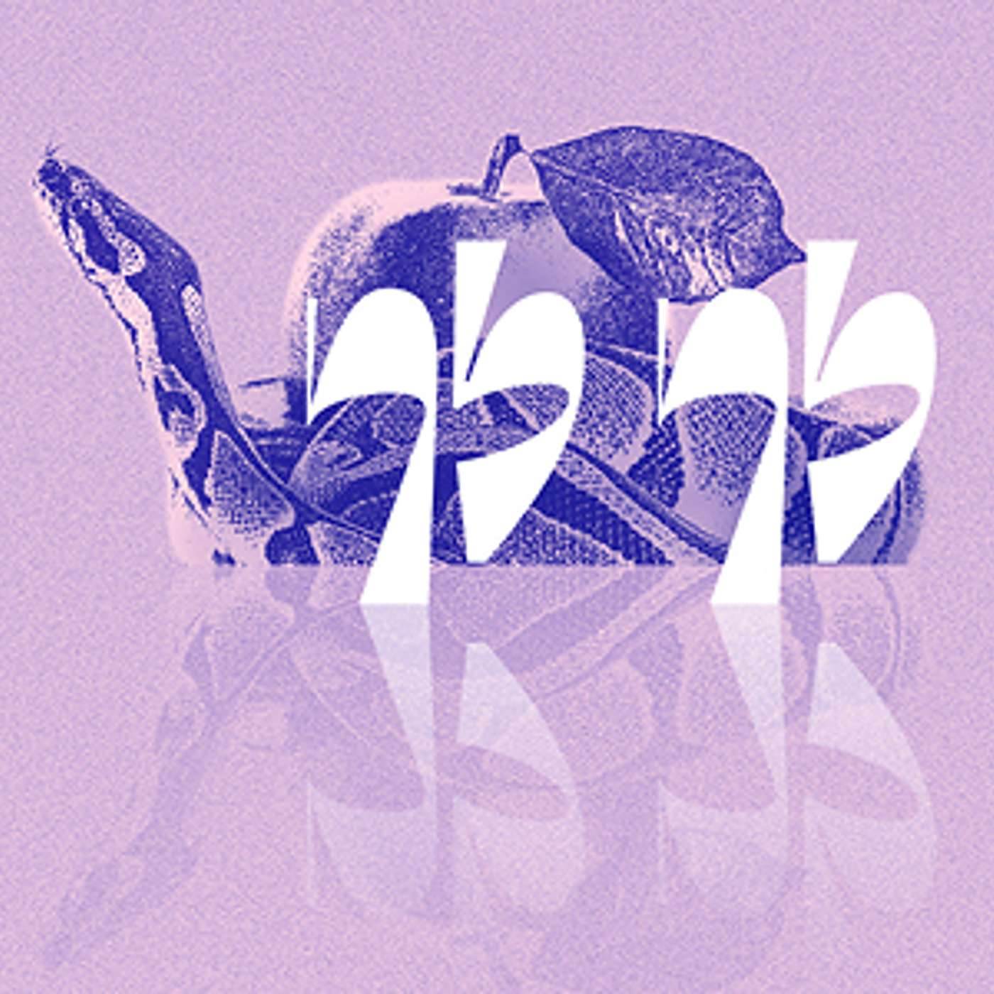 Parashat Lech Lecha | The Building of A Family | Rabbi Shai Finkelstein