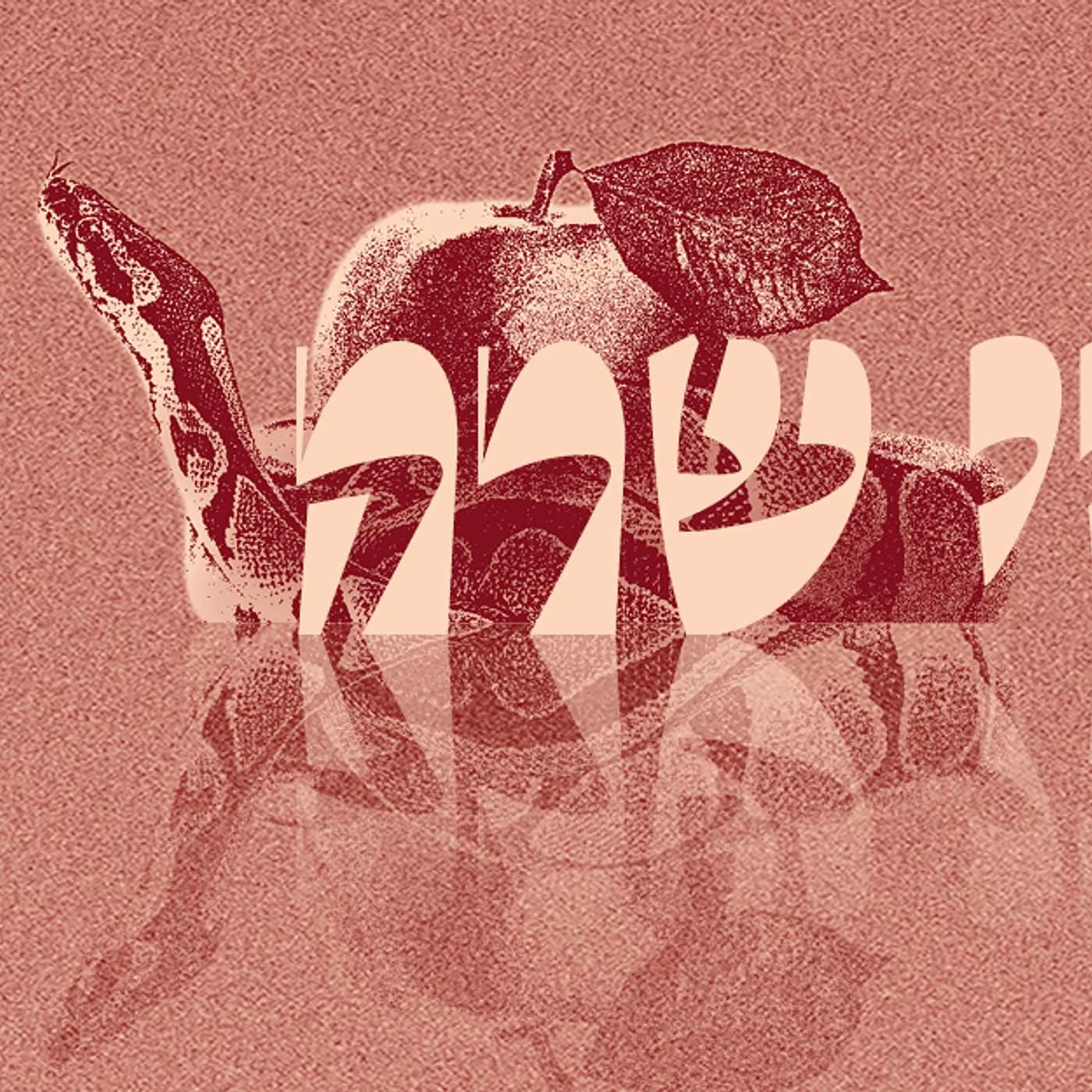 Parashat Chayei Sarah - End of an Era  | Rabbi Shai Finkelstein