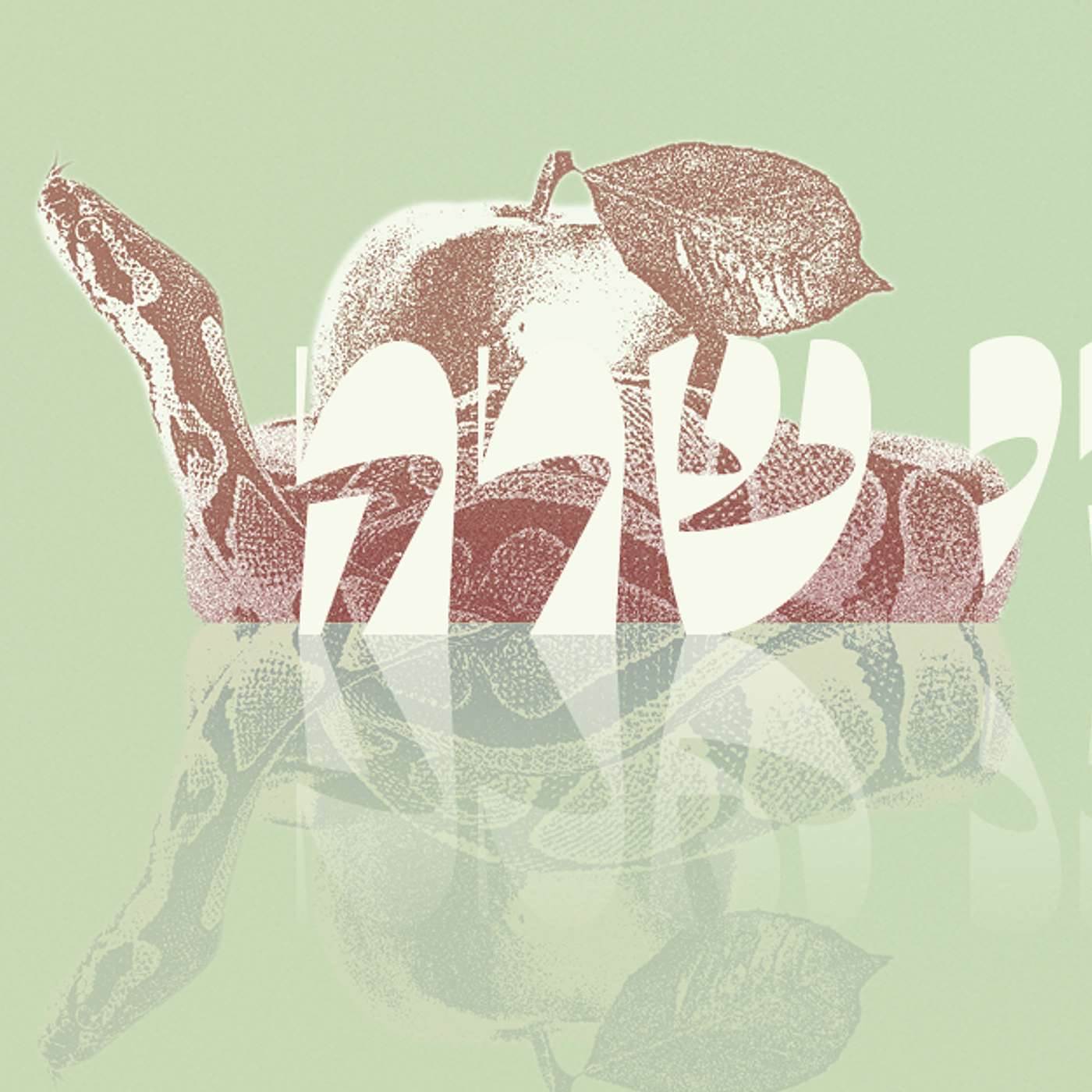 Parashat Chayei Sarah - Loss, Death and Renewal | Rabbi Shai Finkelstein