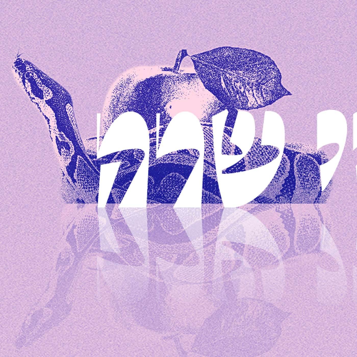 Parashat Chayei Sarah | The Dynamics of Families | Rabbi Shai Finkelstein