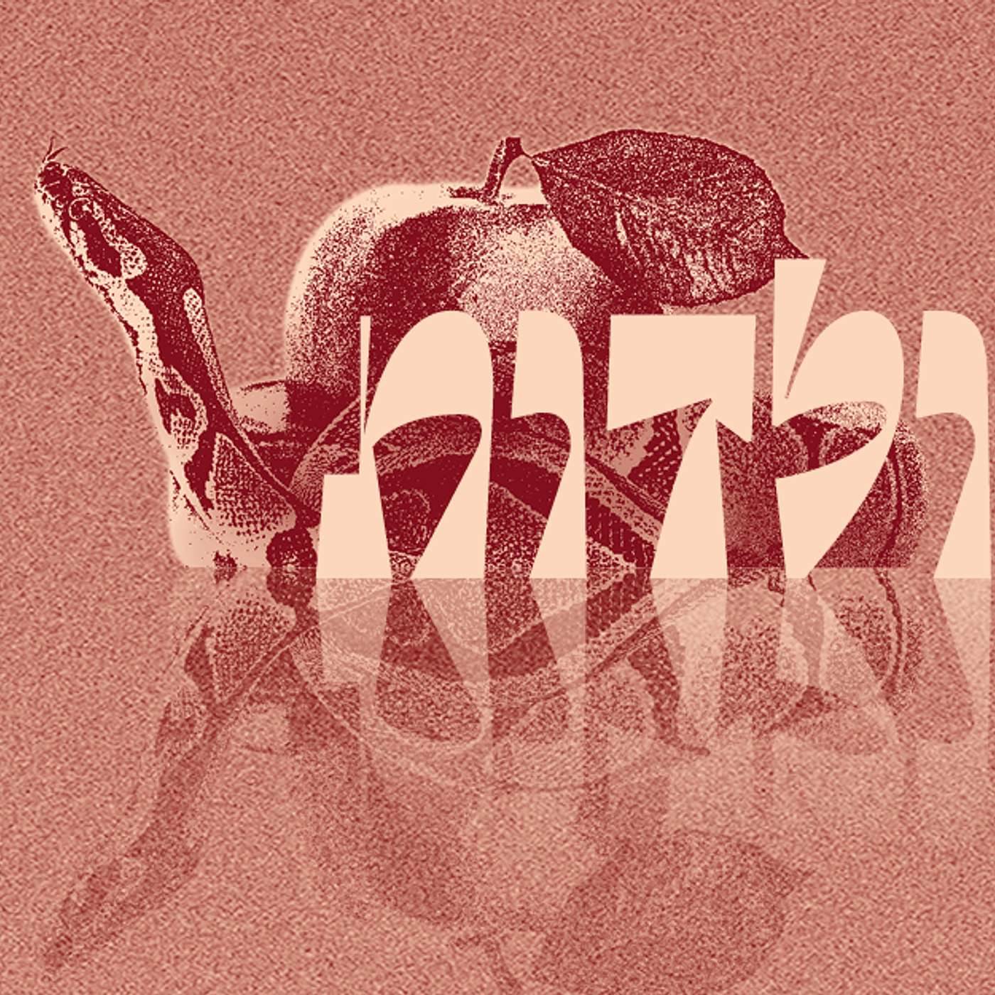 Parashat Toldot - Value or Cost  | Rabbi Shai Finkelstein