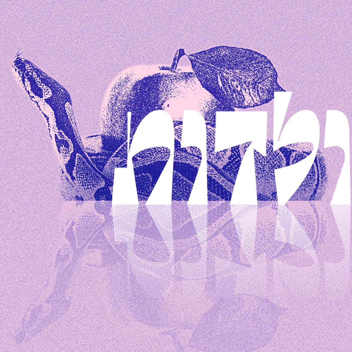 Parashat Toldot | Educational mistakes and Lessons to learn | Rabbi Shai Finkelstein