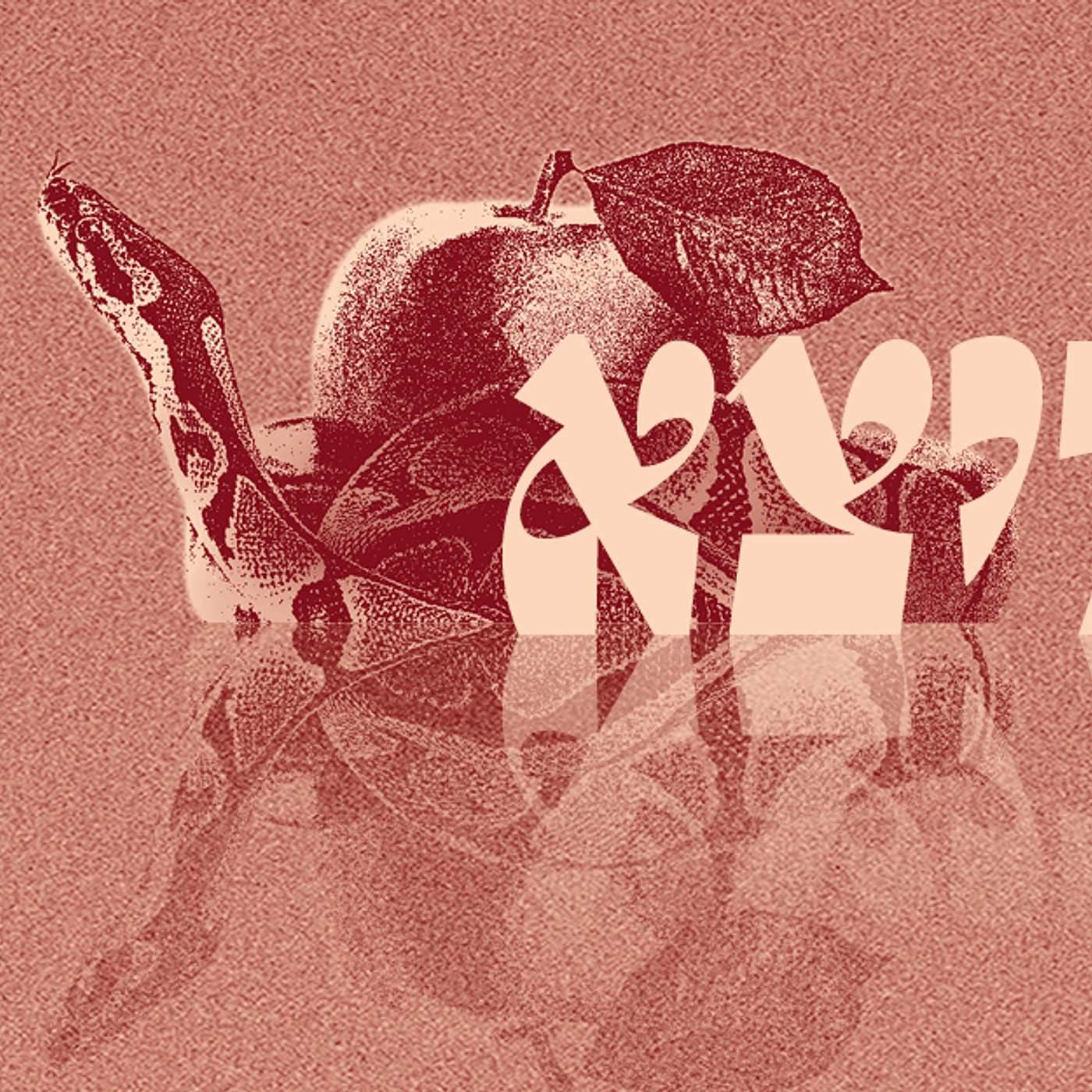 Parashat Vayetze - Romance, Love, and Marriage  | Rabbi Shai Finkelstein