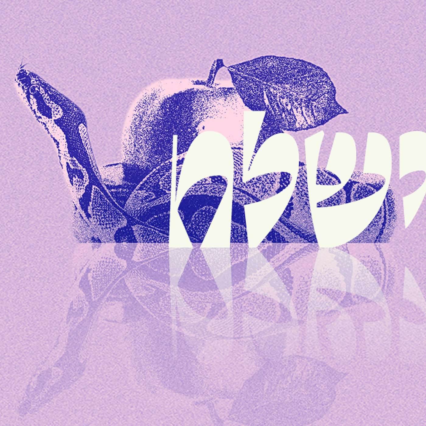 Parashat Vayishlach | Blaming the Victim? | Rabbi Shai Finkelstein