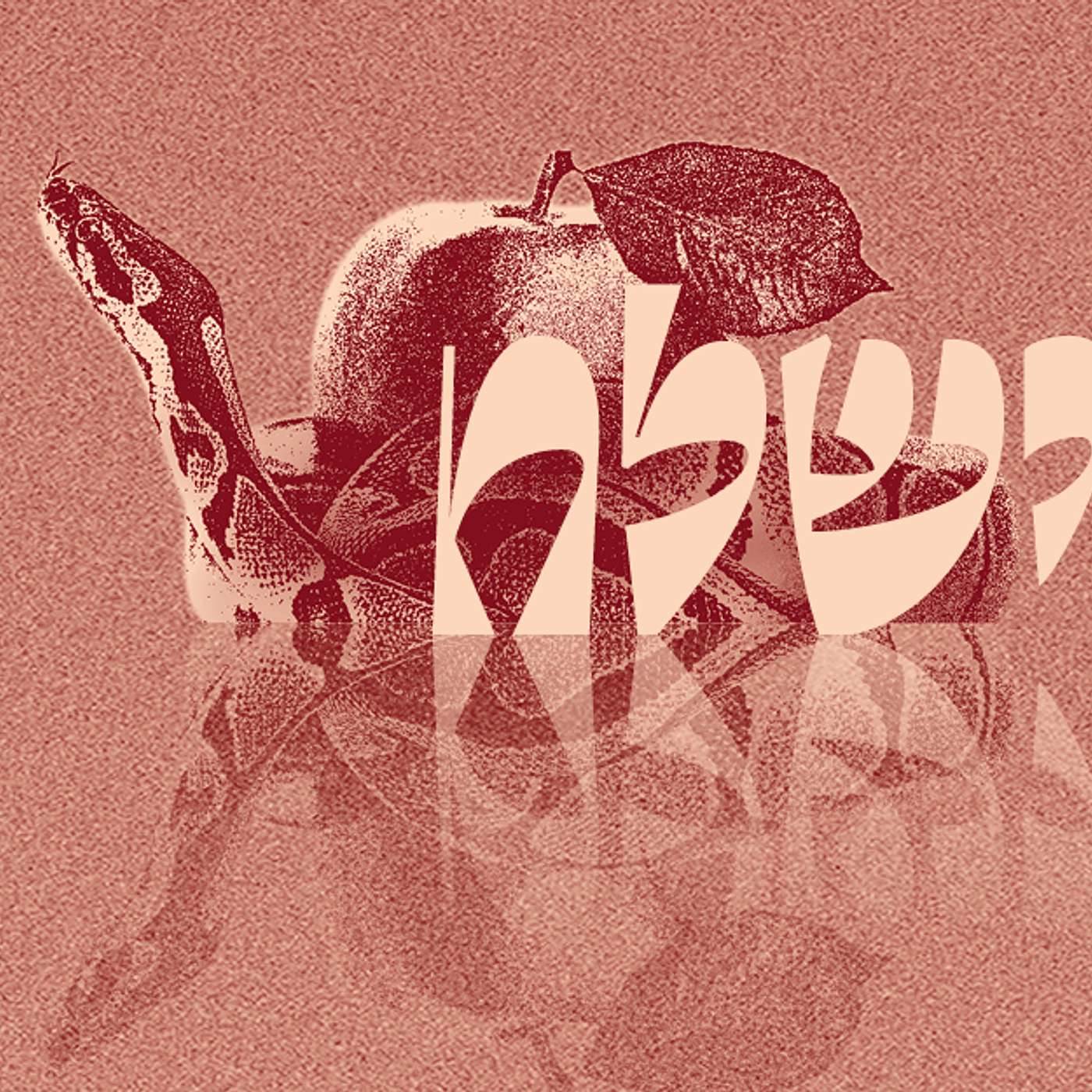 Parashat Vayishlach - Transformative Change | Rabbi Shai Finkelstein