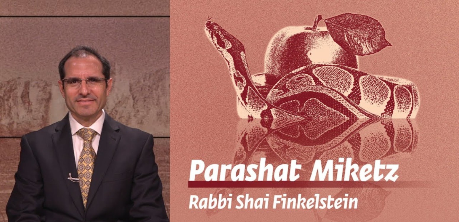 Parashat Miketz: Facing Reality | Rabbi Shai Finkelstein