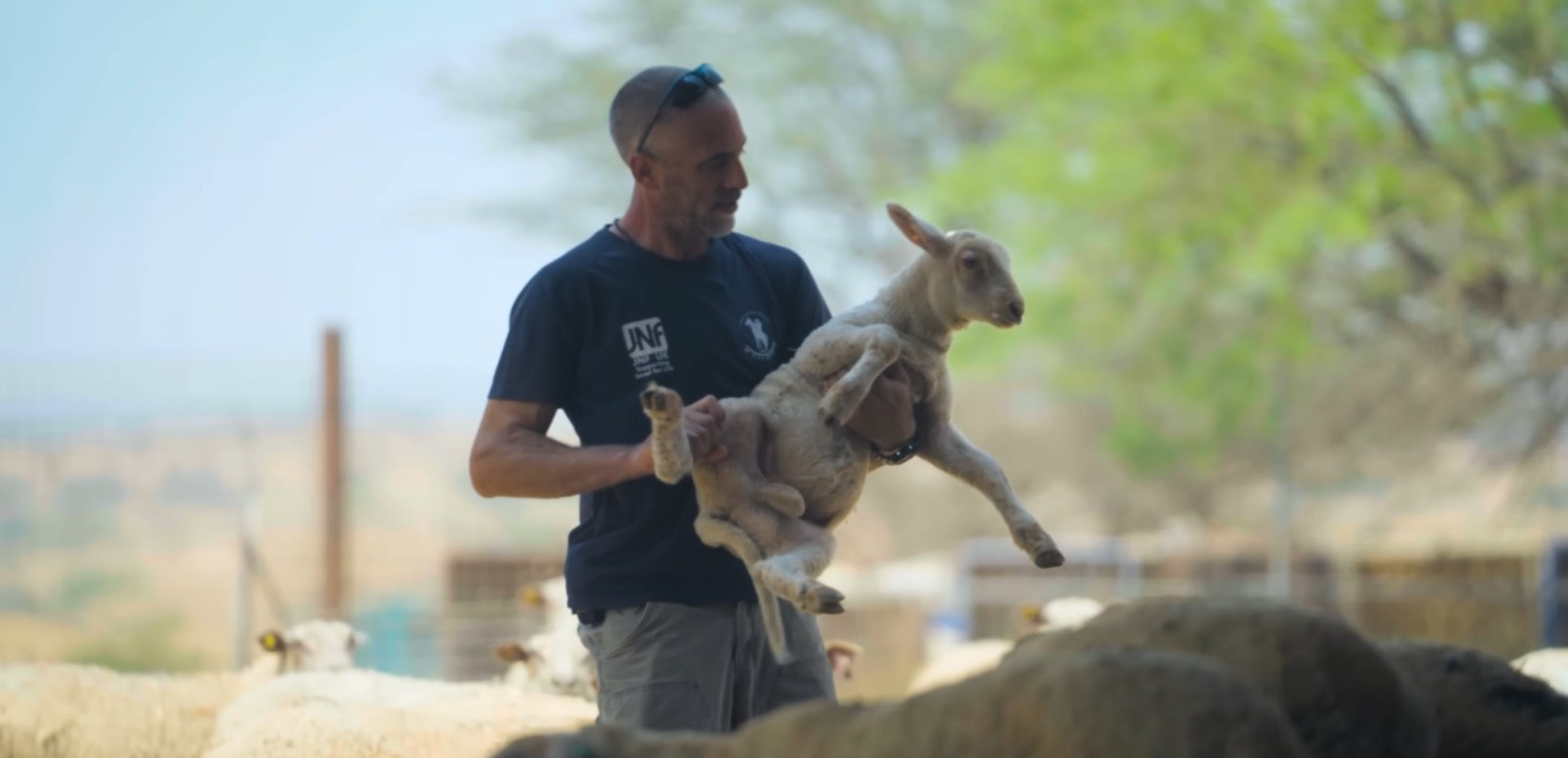 Ферма Гилад у границы с Газой