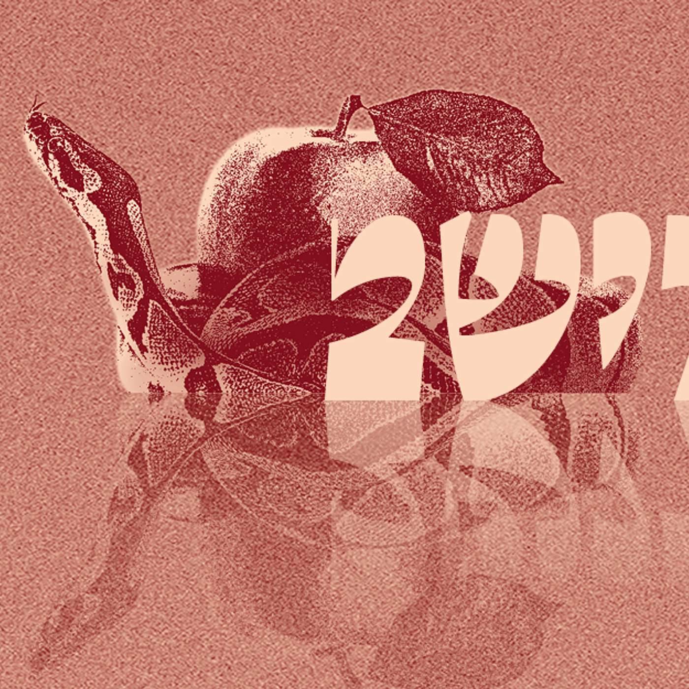 Parashat Vayeshev - No Place Like Home  | Rabbi Shai Finkelstein