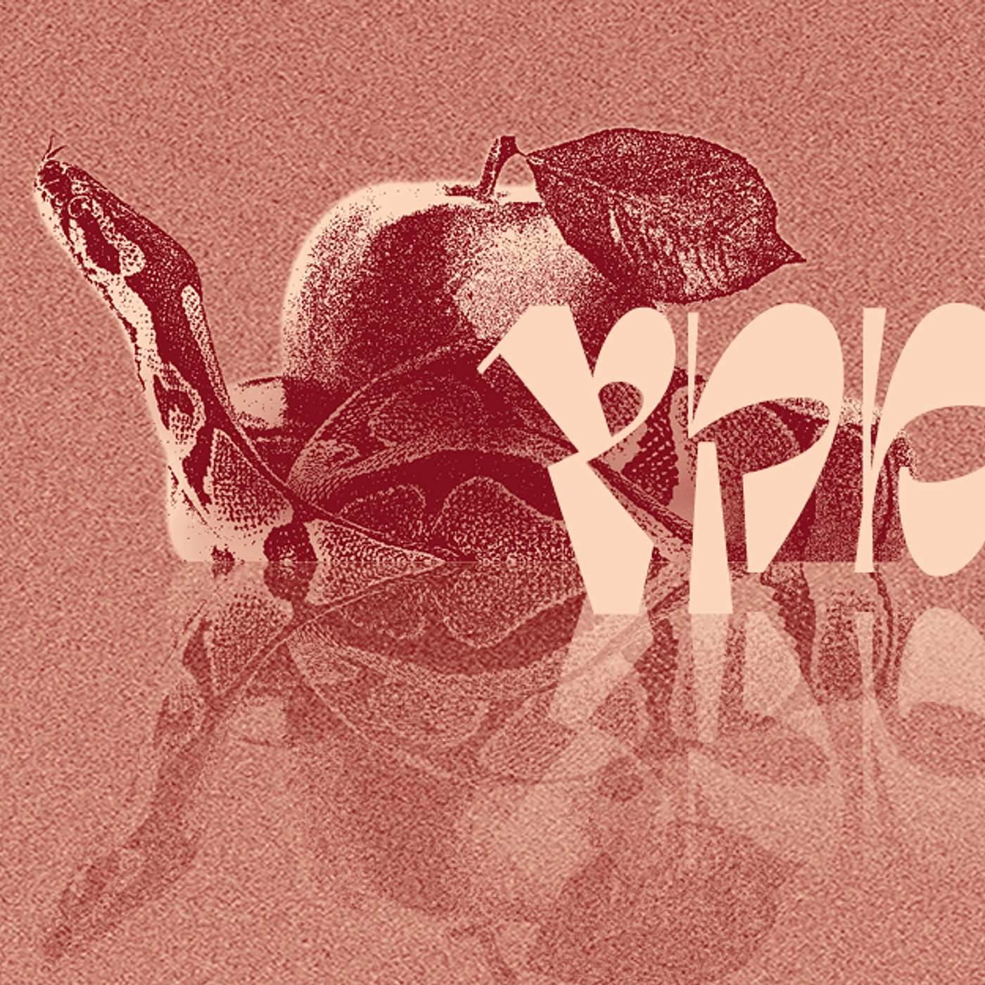 Parashat Miketz - Facing Reality  | Rabbi Shai Finkelstein