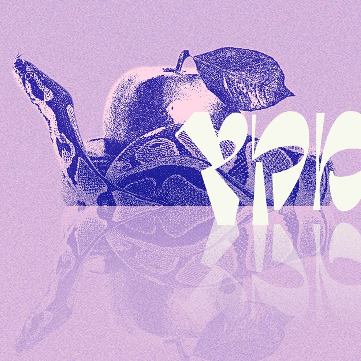 Parashat Miketz | Reuben’s tragedy | Rabbi Shai Finkelstein