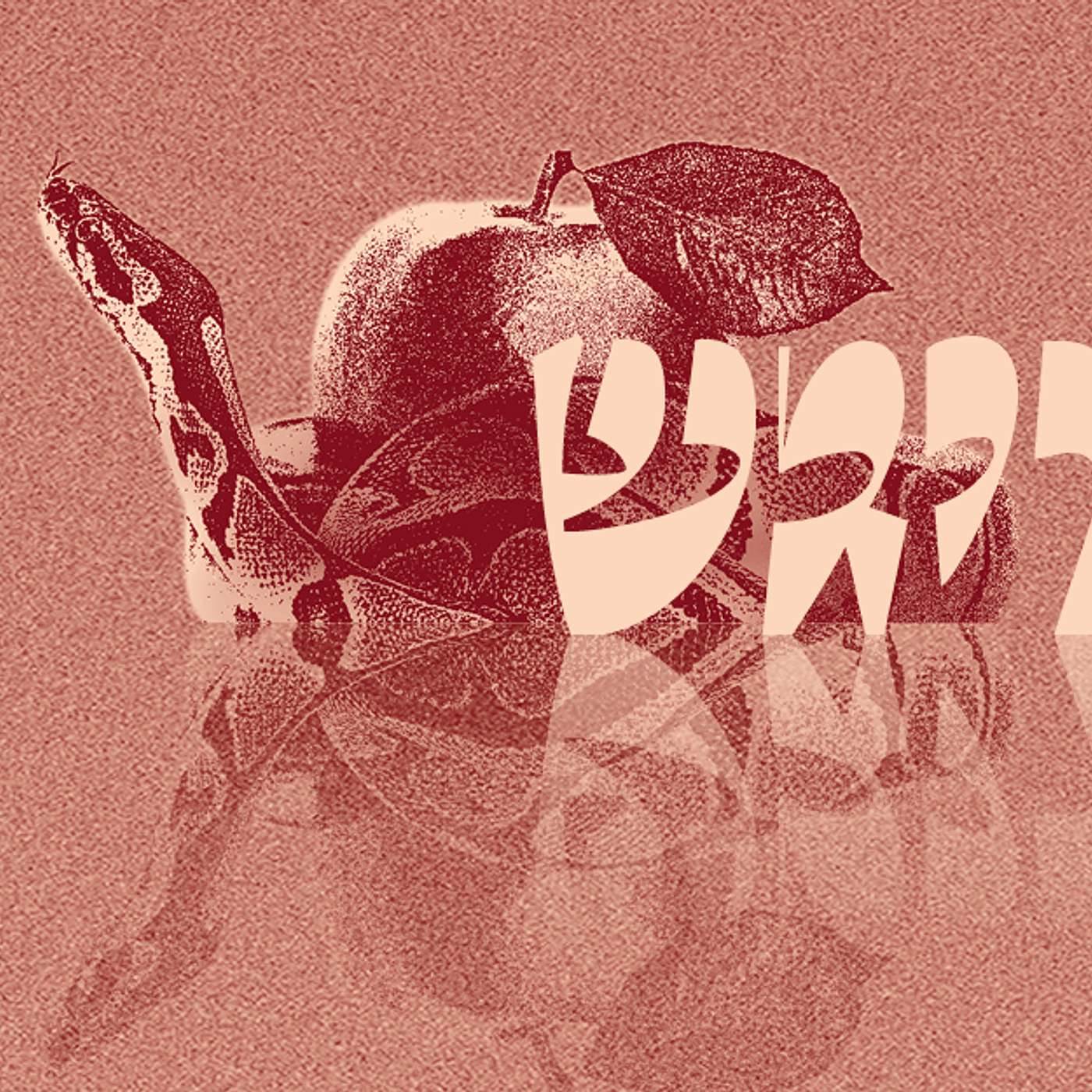 Parashat Vayigash - Disappointments & Opportunities  | Rabbi Shai Finkelstein