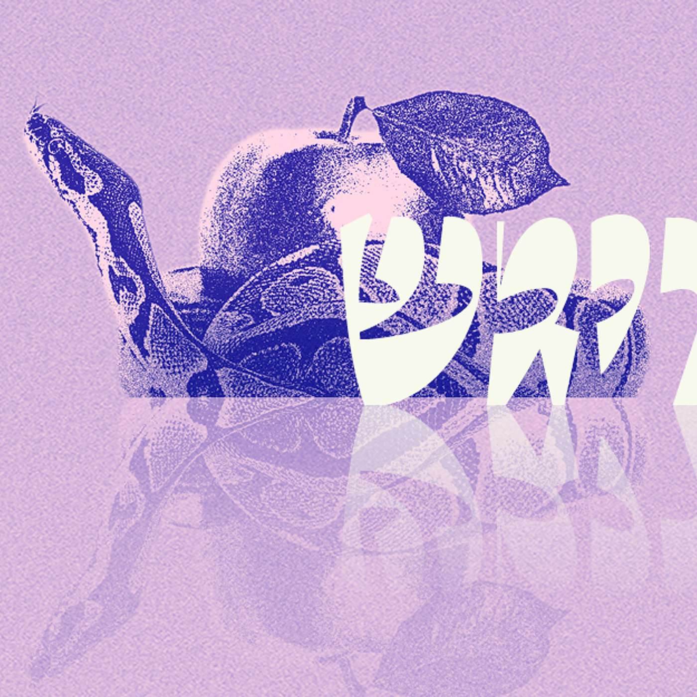 Parashat Vayigash | Kingdom and Responsibilty | Rabbi Shai Finkelstein