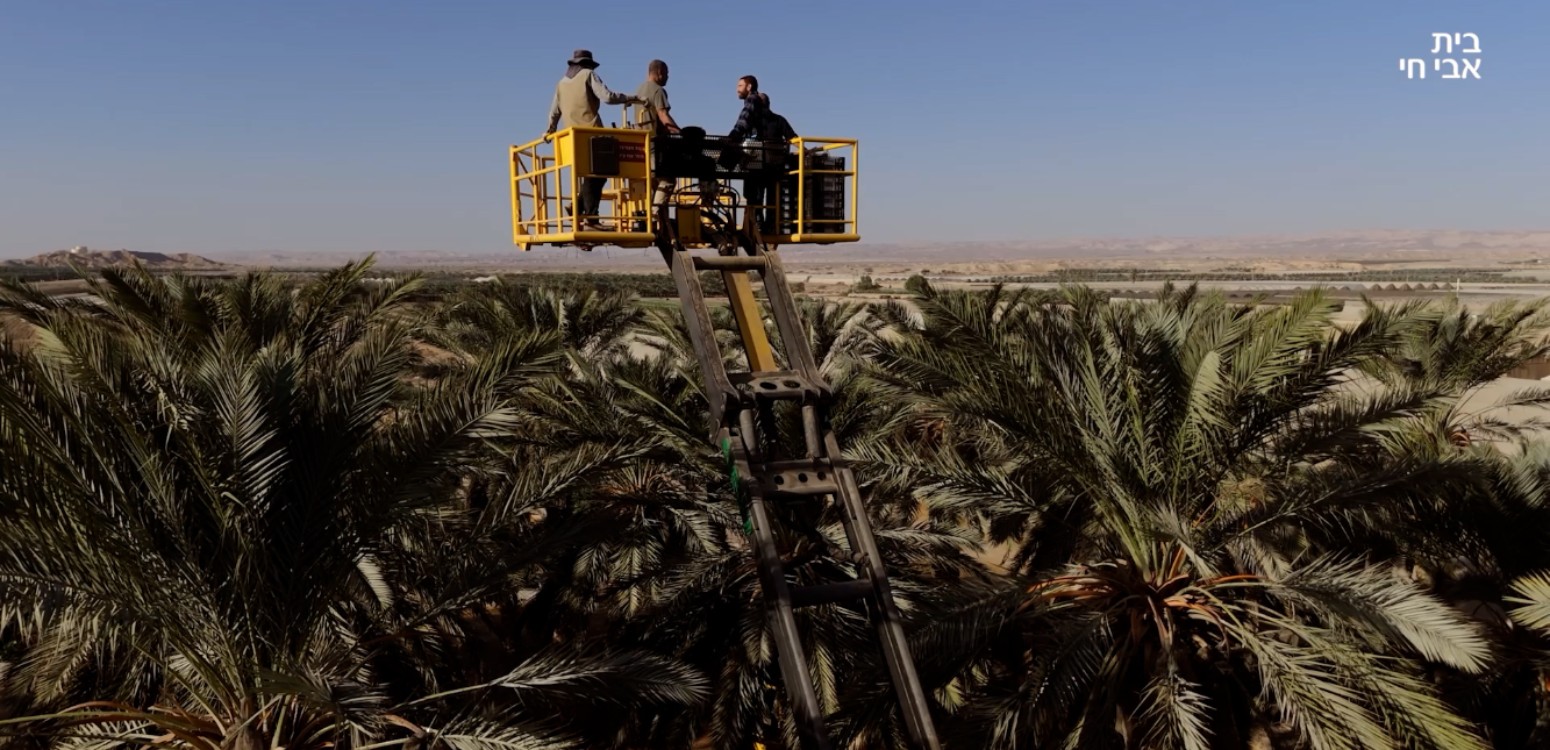 עין יהב: יורם ריאטי