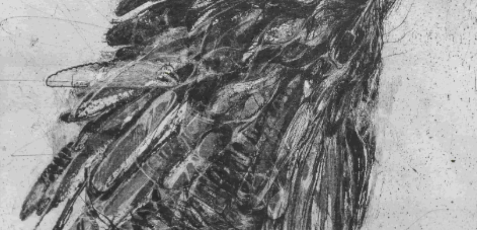 שיח גלריה - אלה כרגע חיי: בין התיעוד לדימוי