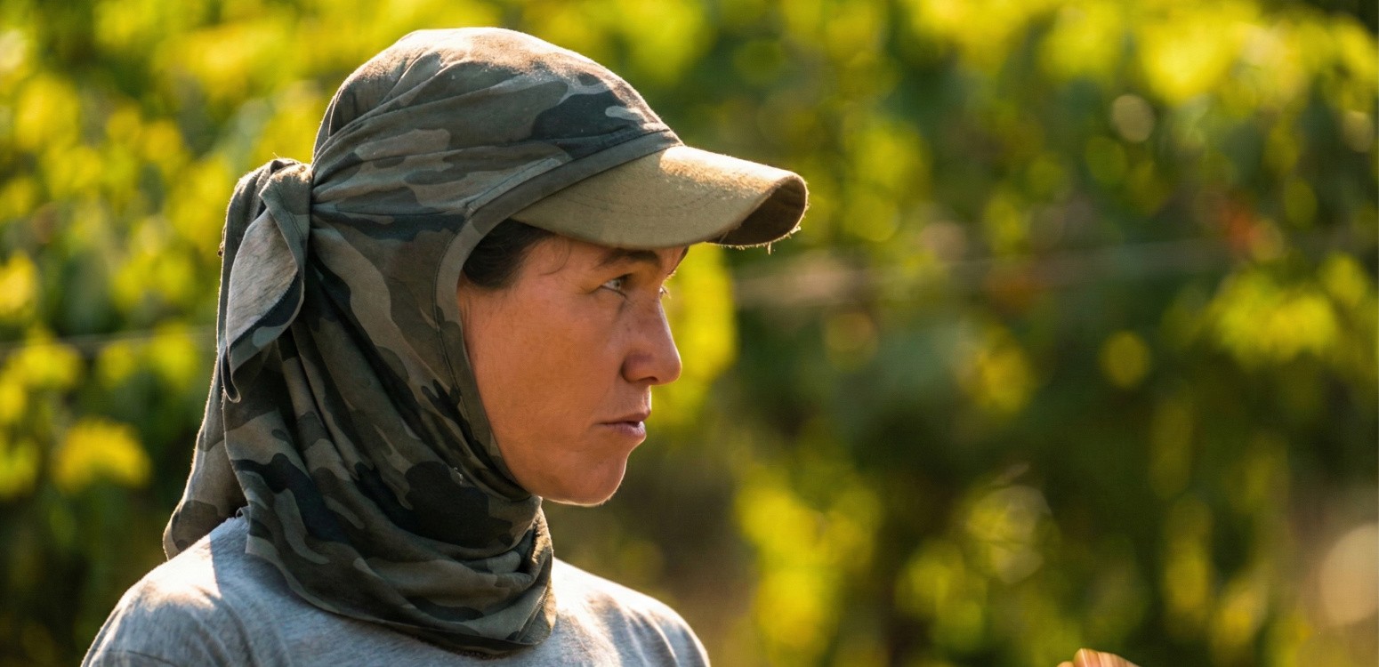 Шир Гат: манго и лозы караван-сарая