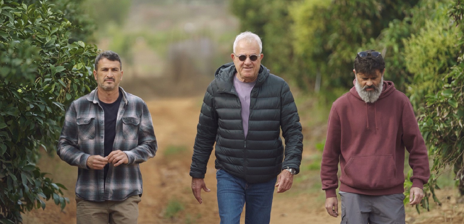 Семья Алон: цитрусы вместо застройки