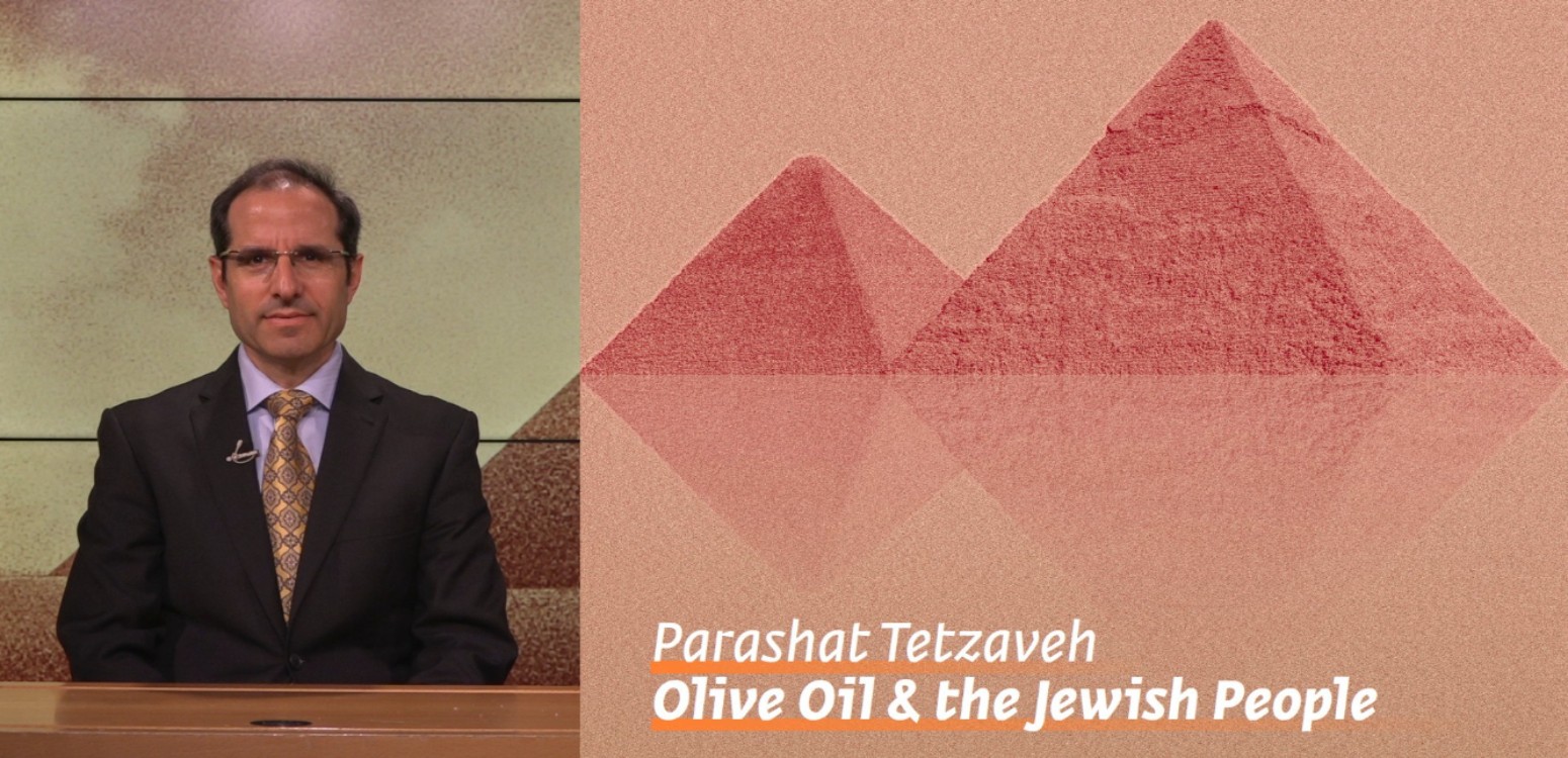 Parashat Tetzaveh: Olive Oil & the Jewish People