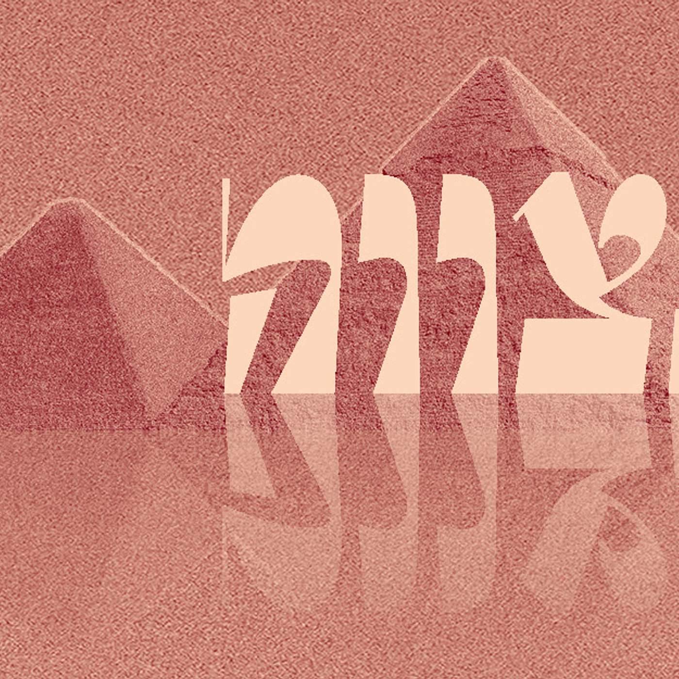 Parashat Tetzaveh – Olive Oil & the Jewish People | Rabbi Shai Finkelstein