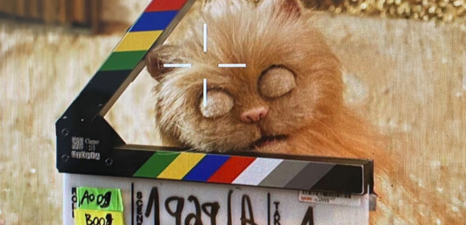 מאחורי הקלעים של הסדרה "כראמל" - עם במאי ויוצר הסדרה - רועי שגב