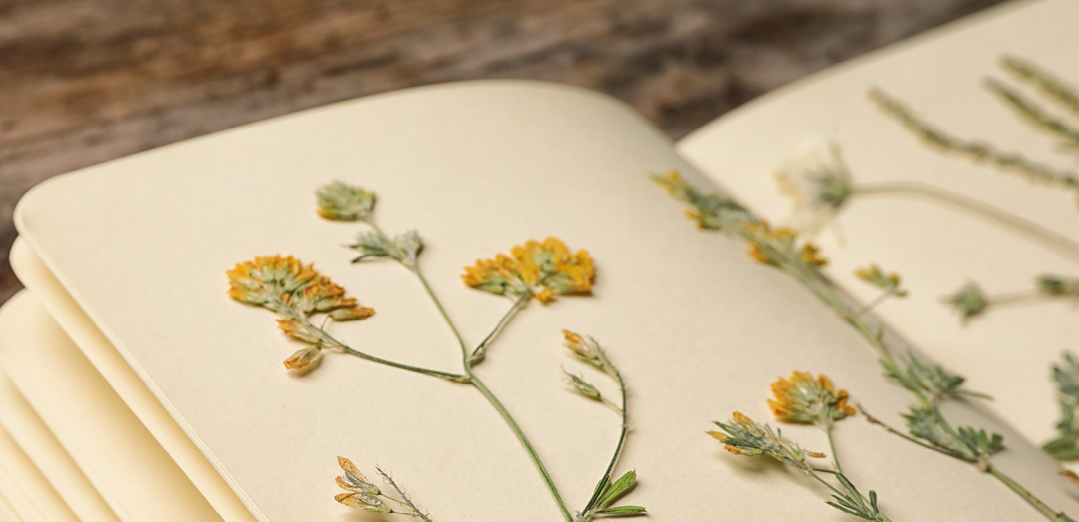 מילים מהאין: מפגש ספרותי וסדנת כתיבה לרגל יום השואה