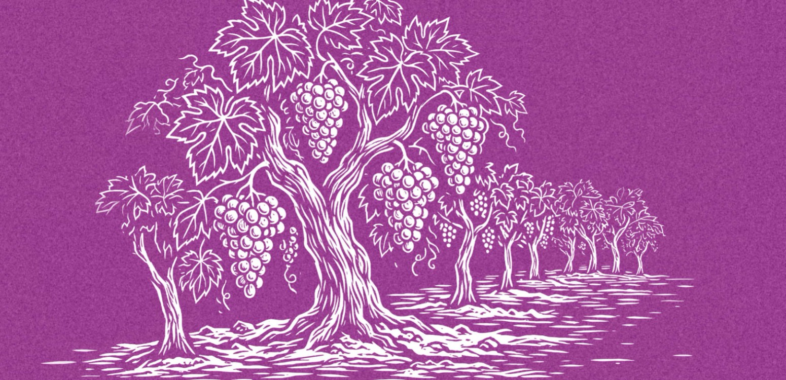 מנשיקות פיהו: קריאות זוהריות על זוגיות ואהבה