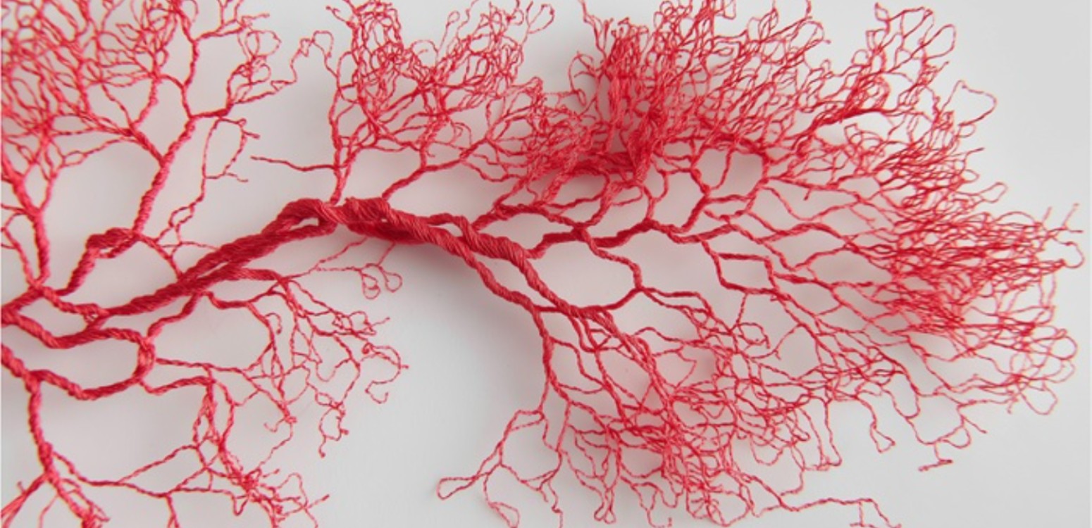 אותה כרית / צוריאל אסף