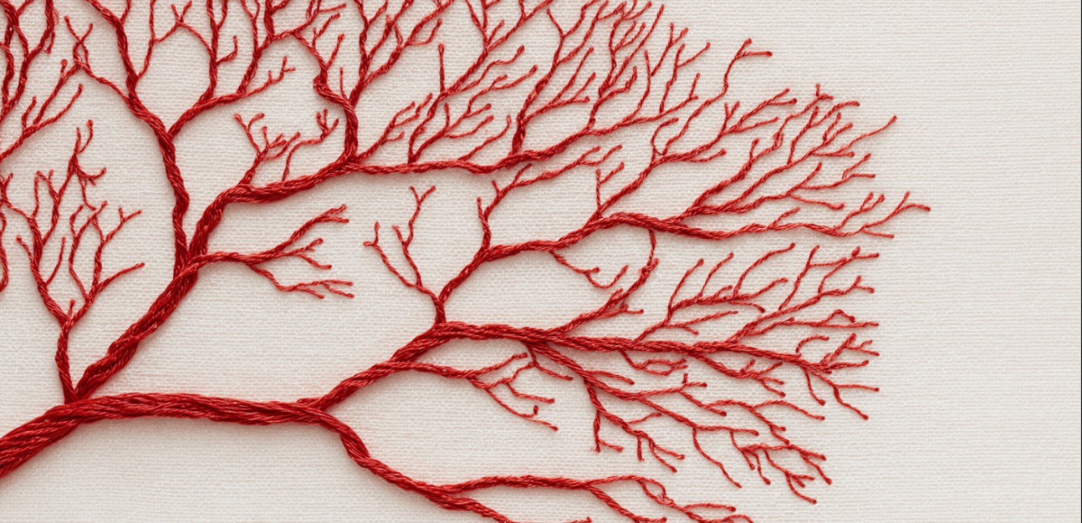 הפעם האחרונה / מור משרקי