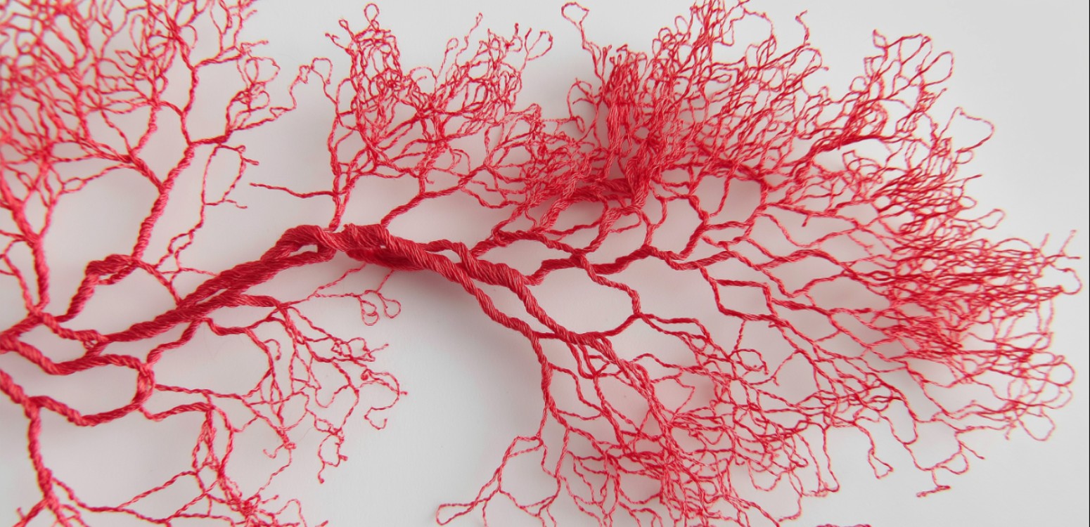 אַהֲבַת אֵם / חגי חריף