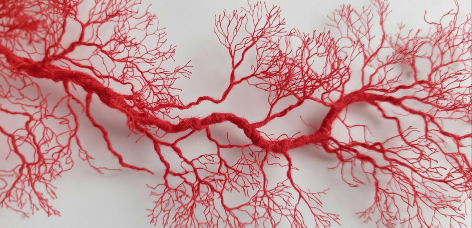 געגוע / נתן צ'אוסקי