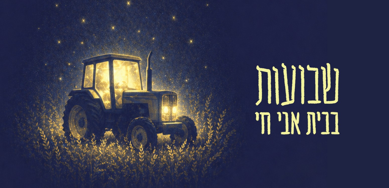 מפגשים ליליים (אולם)