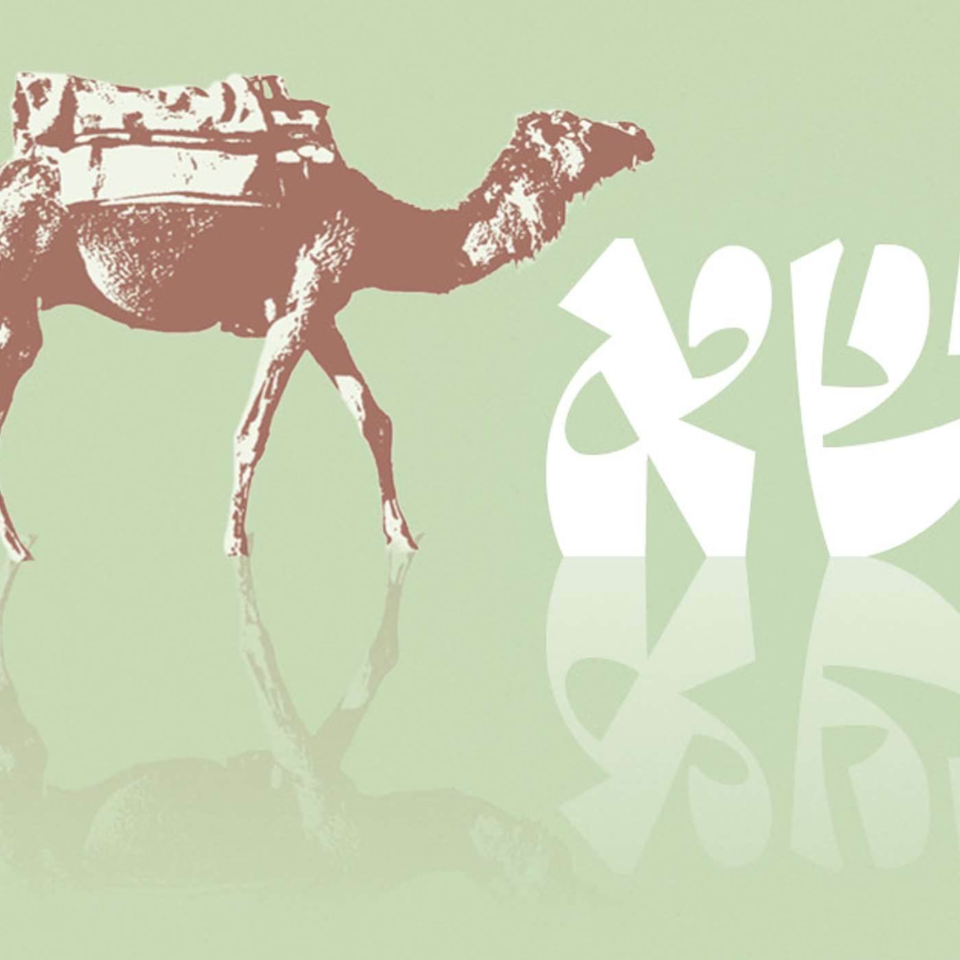 Parashat Naso – The Blessing of Peace | Rabbi Shai Finkelstein
