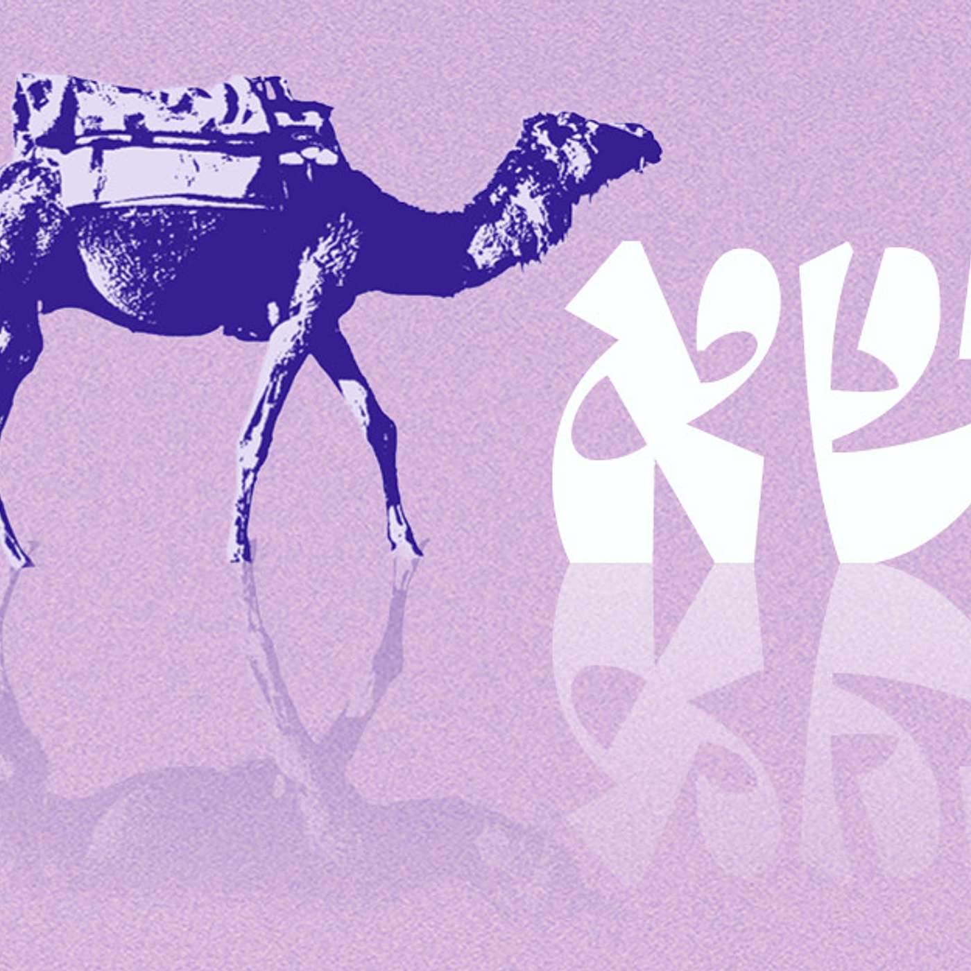 Parashat Naso  | The Priestly Blessing  | Rabbi Shai Finkelstein