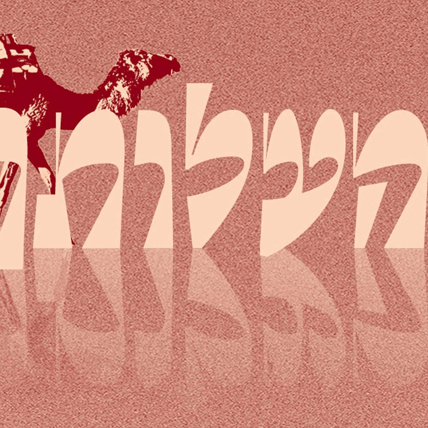 Parashat Behaalotcha | True Consolation | Rabbi Shai Finkelstein