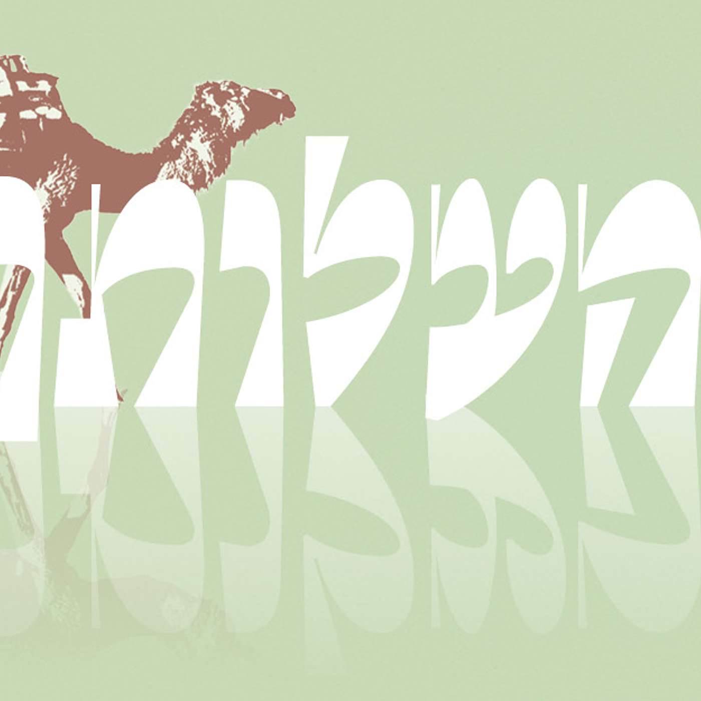 Parashat Beha’alotcha – The Beginning of the End | Rabbi Shai Finkelstein